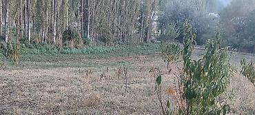 Продажа участков: 30 соток at lalafo.kg — 11 Продажа участков: 30 соток — 11