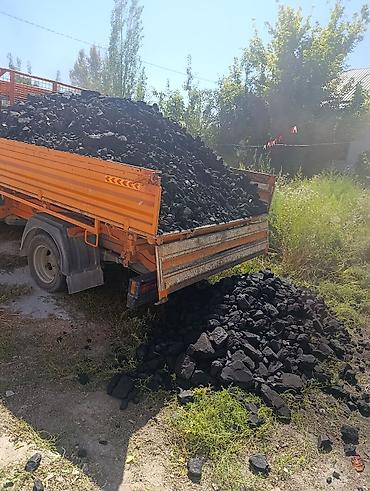 уголь розницу: Уголь Шабыркуль, Платная доставка, В розницу, Фракция: Орех (О), В мешках — 2