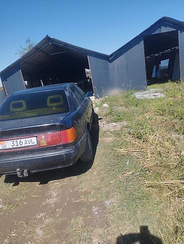Audi: Audi 100: 1992 г., Седан — 2