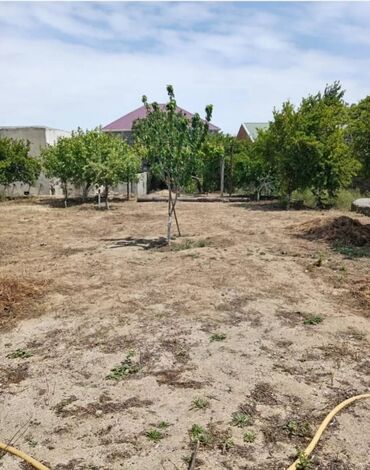 zaqatala torpaq satisi: 10 sot, Mülkiyyətçi, Kupça (Çıxarış)