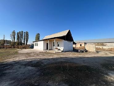 сарай для крс: Сдаю Сарай, 40 голов, 20 соток, Водопровод — 7