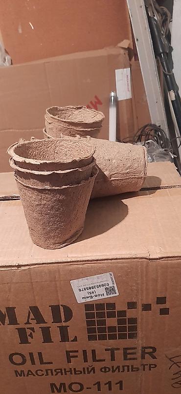 Садовые цветы и кустарники: Саженцы цветка: Пионы, Самовывоз — 10