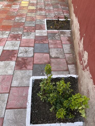 Uzunmüddətli kirayə evlər: 85 kv. m, 3 otaqlı, İnternet, Telefon, Qaz -da lalafo.az — 3 Uzunmüddətli kirayə evlər: 85 kv. m, 3 otaqlı, İnternet, Telefon, Qaz — 3