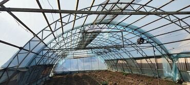 Теплицы: Продается теплица, размер 23/8 — 10