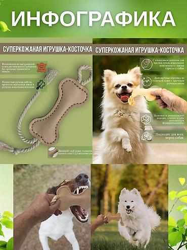 Интернет реклама: Instagram, Google, Telegram, Разработка дизайна, Ведение страницы, Разработка контента at lalafo.kg — 8 Интернет реклама: Instagram, Google, Telegram, Разработка дизайна, Ведение страницы, Разработка контента — 8