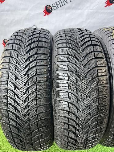 185: Шины 185 / 65 / R 15, Зима, Новый, Комплект, Легковые, Польша, Michelin — 3