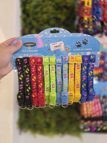 Xaltalar, qayışlar və tasmalar: Pişik və mini itlər üçün boyunbağılar. Taksilə çatdırılma xidmətimiz — 22