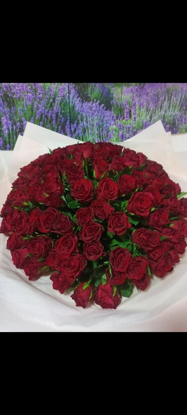 Цветы и букеты: 51 роза и 101 роза 24/7 Акция не дорого‼️ — 1