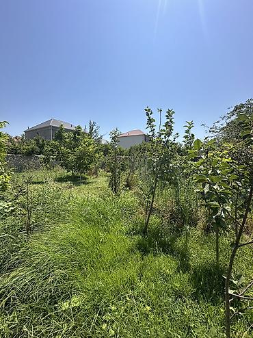 binə mehriban qonşular: 5 sot, Tikinti, Mülkiyyətçi, Kupça (Çıxarış), Texniki pasport — 2