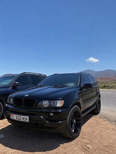 bwm e60: BMW X5: 2003 г., 3 л, Автомат, Дизель, Внедорожник — 4