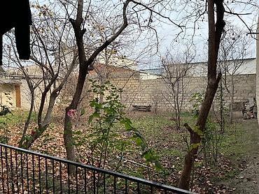 sahe: 2 sot, Tikinti, Mülkiyyətçi, Kupça (Çıxarış) — 4