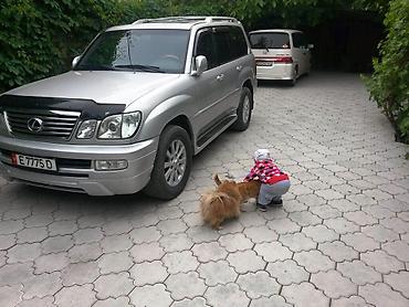 Продажа домов: Дом, 100 м², 4 комнаты, Собственник, Евроремонт — 10