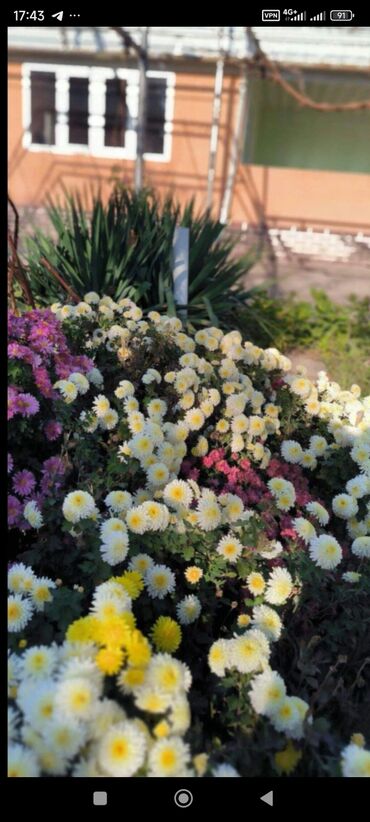 Продажа домов: Дом, 1441 м², 8 комнат — 21