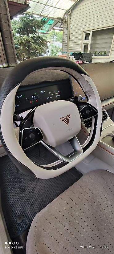 Hozon: Hozon Neta L: 2024 г., 1.5 л, Автомат, Электромобиль, Кроссовер — 6