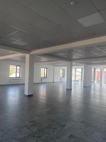 аренда памешение: Сдаю Part of the office: Сдаю Колл-центр, Нотариус, IT company, 249 м², В административном здании, С ремонтом, 1 линия, С отдельным входом, С отдельным сан узлом — 5