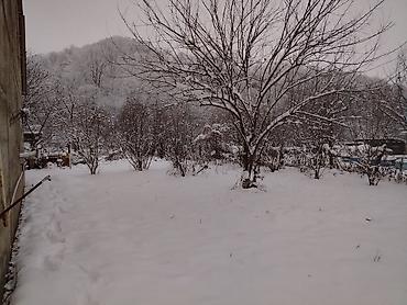 Torpaq sahələrinin satışı: 10 sot, Biznes üçün, Mülkiyyətçi, Kupça (Çıxarış) — 7