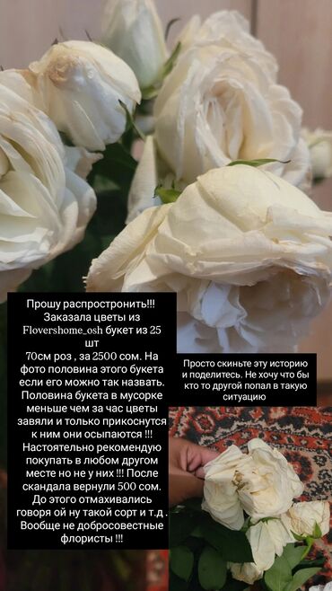букет бишкек: Внимание! Не рекомендую заказывать цветы у @flovershome_osh (Ош)