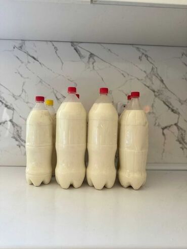 сыворотка молочная: 1 литр 200 сомдон Кымыз доставкасы бекер