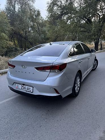 туманик соната: Hyundai Sonata: 2018 г., 2 л, Автомат, Газ, Седан — 6