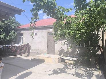 evler satiq: 3 otaqlı, 80 kv. m, Yeni təmirli — 1