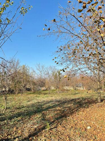 Torpaq sahələrinin satışı: 18 sot, Tikinti, Kupça (Çıxarış) — 6