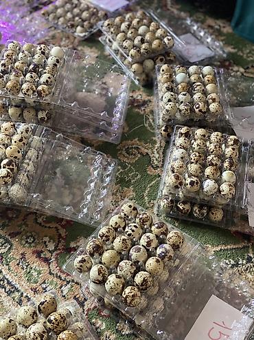 кукуруза прием: Перепелиное мясо маринованное для шашлыка готовая продукция свежая — 6