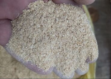 117 объявлений | lalafo.kg: Продам отруби рисовые оптом по 14 сом, и мелким оптом от 1 тонны по 16