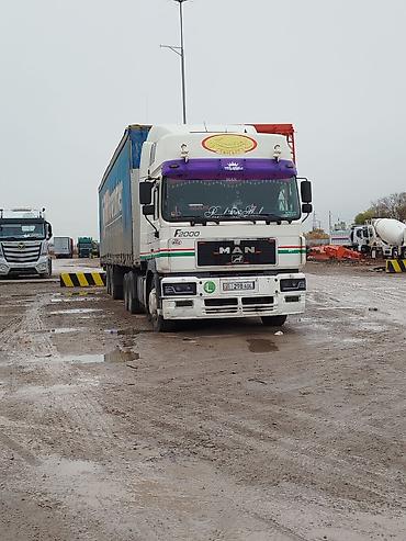 Тягачи: Тягач, MAN, Тентованный — 8