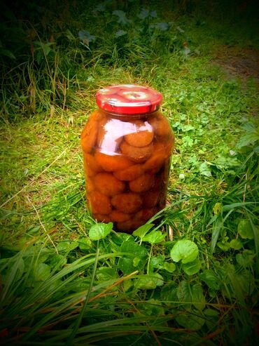 homm bitkisel azerbaycan giriş: Əncir mürəbbəsi 2 kg 🌿 🏞️ Şəki rayonunda ev şəraitində hazırlanır 💯 % at lalafo.az homm bitkisel azerbaycan giriş: Əncir mürəbbəsi 2 kg 🌿 🏞️ Şəki rayonunda ev şəraitində hazırlanır 💯 %