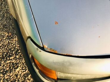 Volkswagen: Volkswagen Passat: 1989 г., 1.8 л, Механика, Бензин, Универсал — 6