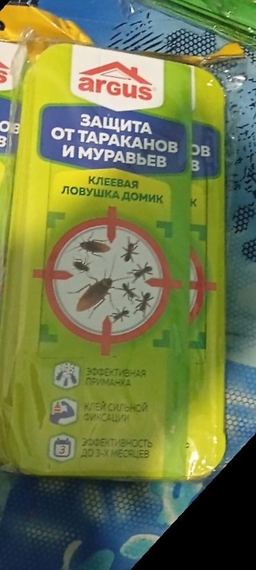 таракан: От тараканов липучка — 1