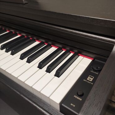 pianino petrof: Piano, Yeni, Pulsuz çatdırılma