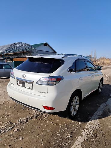 rx 2017: Lexus RX: 2010 г., 3.5 л, Автомат, Бензин, Кроссовер — 2