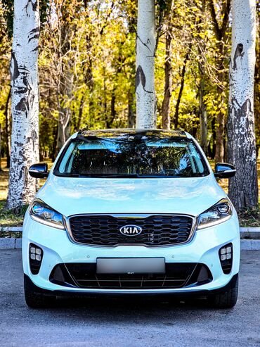 Kia: Kia Sorento: 2018 г., 2.2 л, Автомат, Дизель, Кроссовер