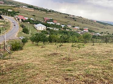 xırdalan torpaq satışı: 12 sot, Tikinti, Mülkiyyətçi, Kupça (Çıxarış) — 9