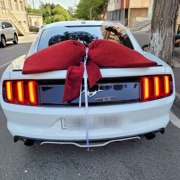 Digər avto xidmətlər: 2018-ci il Mustang. Toy, Nişan və digər tədbirlər üçün sifariş edə — 10