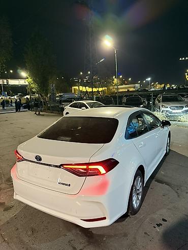 тайота каролла фара: Toyota Corolla: 2020 г., 1.8 л, Вариатор, Гибрид, Седан — 6