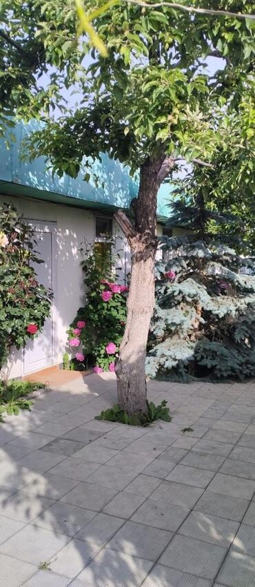 Продажа домов: Дом, 80 м², 4 комнаты, Собственник — 7