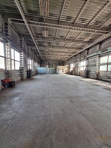 Продажа зданий: Ангар, 1000 м² — 11