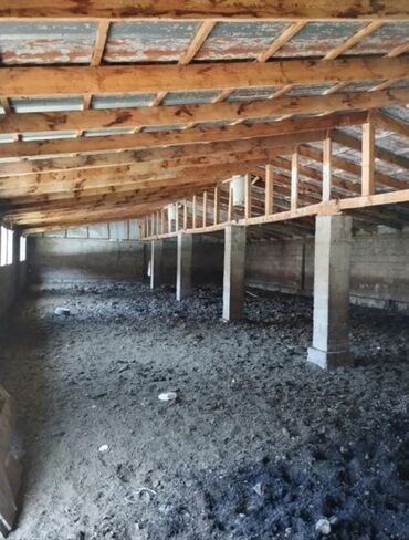 Продажа домов: Дом, 500 м², 1 комната, Агентство недвижимости, Старый ремонт — 9