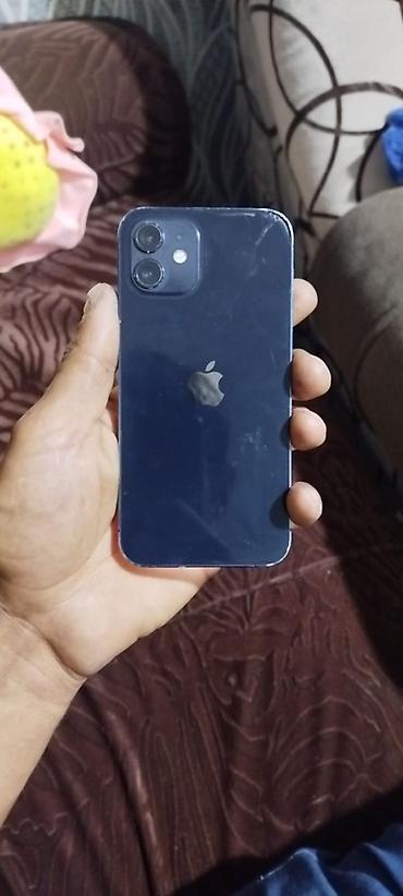 Техника и электроника: IPhone 12, 64 ГБ, Голубой, Face ID — 3