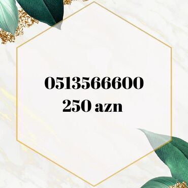 ucuz şirəçəkən: Nömrə: ( 051 ) ( 3566600 ), Yeni