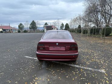 BMW: BMW 5 Series (E39) sedan - Kuzov: sedan, tünd qırmızı rəng - Ban — 4