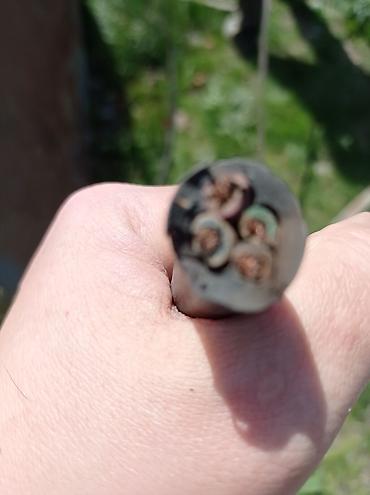 Микроволновки: Микроволновка, Б/у, Самовывоз — 4