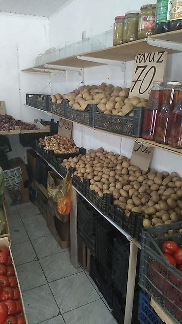 sərin su: Təzə bostan məhsulu – qarpız - Şirin və ətli qarpızlar, tünd-yaşıl — 6