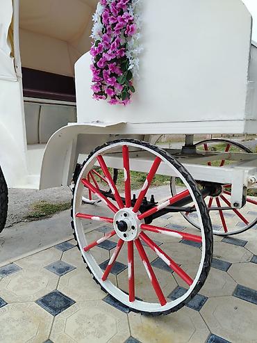 isləmis kombi: Klassik at arabası – dekorativ və gəzinti üçün - Rəng: ağ gövdə — 9