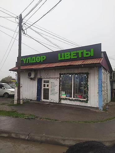 мясо с доставкой бишкек: Магазин «Цветы / Гүлдәр» Услуги и ассортимент: - Срезанные цветы и — 2
