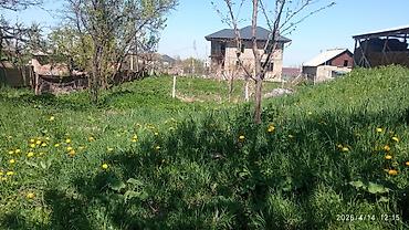 Долгосрочная аренда домов: 220 м², 6 комнат — 13