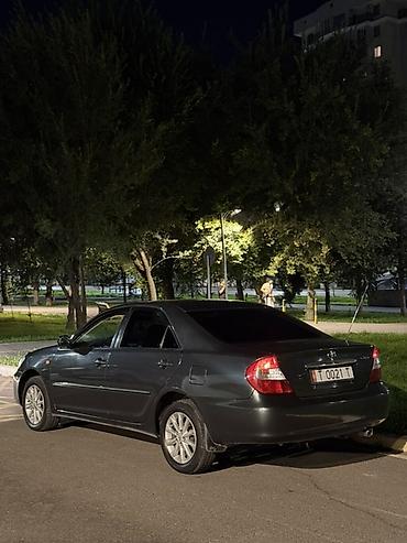ноускат камри 30: Toyota Camry: 2003 г., 2.4 л, Автомат, Бензин, Седан — 2