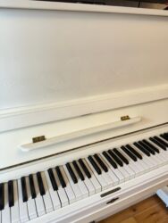 электронное пианино: Ag pianino. şexsi özümümdü. sahibi menem. basqa yerlerde gormusunuzse